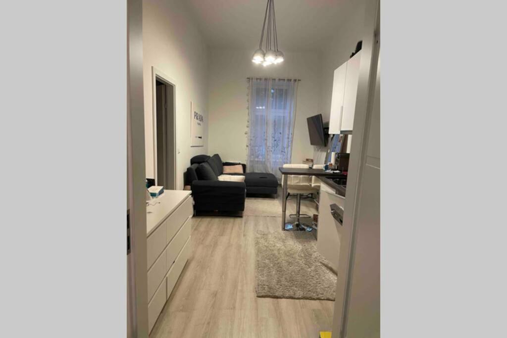 Comf. Apart Near The City - 13 Minutes To 1St Vienna Viena Exterior foto