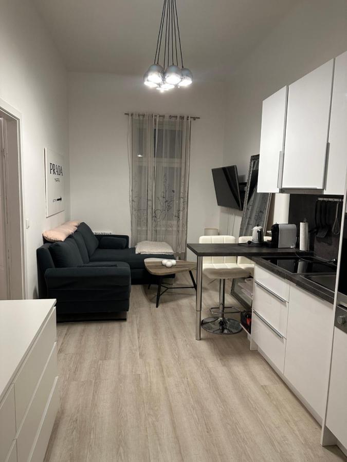 Comf. Apart Near The City - 13 Minutes To 1St Vienna Viena Exterior foto